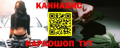 индика Рузаевка