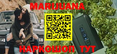 индика Рузаевка