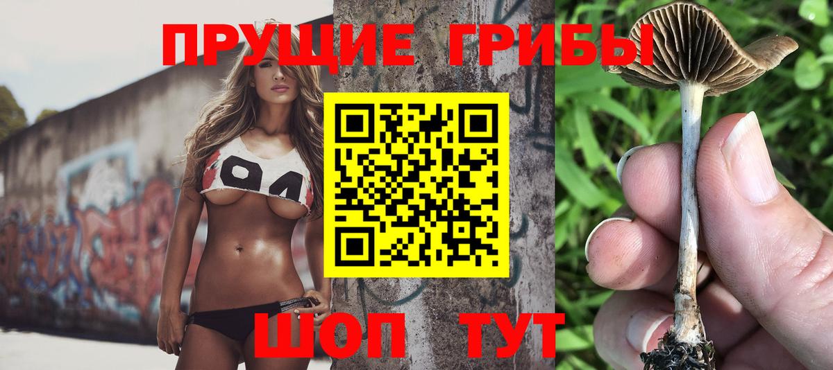 Галлюциногенные грибы мицелий Обь